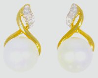 Guest and Philips - Diamond Set, Yellow Gold - White Gold - 9ct FWCP D2st 0.6pt Stud Earrings 09EASG87014