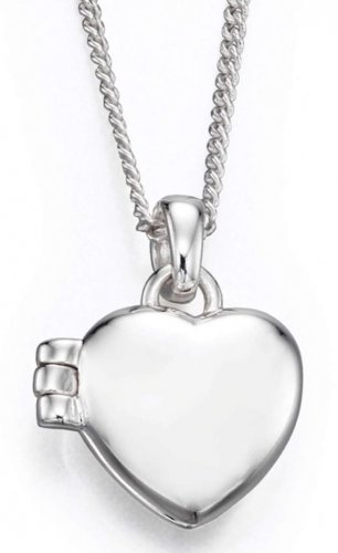 Gecko - Sterling Silver Childrens Heart Locket P4580