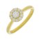 Guest and Philips - Diamond Set, Yellow Gold - 18ct 33pt 11st Cluster Ring, Size N 18RIDI82601